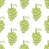 naadloos patroon van groen druiven vector