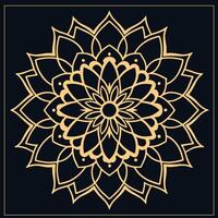 mandala. etnisch decoratief element. hand- getrokken achtergrond. Islam, Arabisch, Indisch, poef motieven. vector