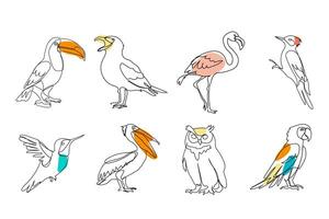 reeks van verschillend vogelstand gekleurd, zwart lijn tekening, toekan, zeemeeuw, uil, uil, papegaai, specht Aan wit achtergrond vector