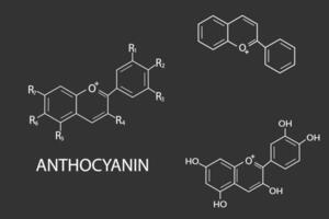 anthocyanine moleculair skelet- chemisch formule vector