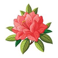 azalea bloem illustratie Aan wit achtergrond vector