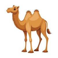 kameel illustratie Aan wit achtergrond vector