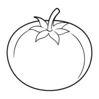 vector van tomaat illustratie kleur bladzijde voor kinderen.
