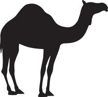 kameel vector illustratie ontwerp, silhouet kameel met zwart kleur