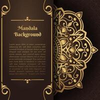 luxe achtergrond, met goud mandala ornament vector