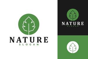 blad natuur kruiden logo ontwerp vector
