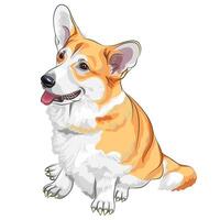 vector schetsen hond pembroke welsh corgi glimlachen