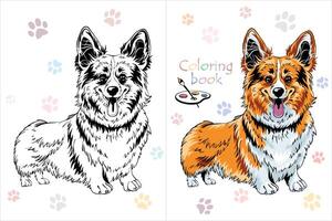 kleur boek bladzijde hond pembroke welsh corgi vector