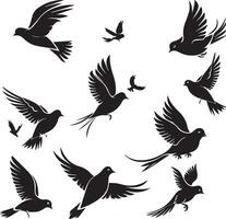 vliegende vogels silhouetten op witte achtergrond vector