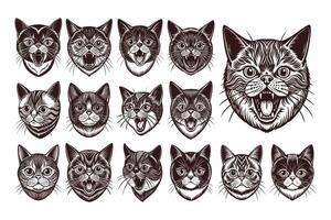 ai gegenereerd bundel van exotisch kort haar kat gezicht portret illustratie ontwerp vector