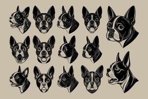 ai gegenereerd hand- getrokken vlak Boston terriër hond gezicht van kant ontwerp reeks vector