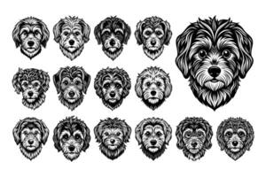 ai gegenereerd illustratie van Maltipoo hond hoofd t-shirt ontwerp bundel vector