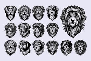 ai gegenereerd mooi Havanezer hond hoofd illustratie ontwerp verzameling vector