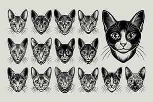 ai gegenereerd portret van kleurpunt kort haar kat gezicht illustratie ontwerp reeks vector