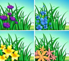 Vier scènes van bloemen en gras vector