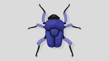 insecten en spinnen geïsoleerd vector illustratie