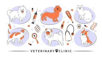 dierenarts kliniek. reeks van gereedschap voor veterinair ziekenhuis. dier vaccinatie, geneesmiddelen, medisch inspectie, Gezondheid controle, behandeling. vector illustratie