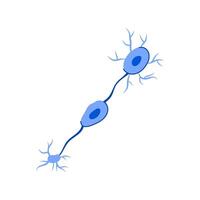neurale neuronen tekenfilm vector illustratie