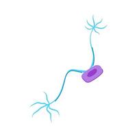ai neuronen tekenfilm vector illustratie