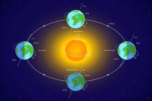 van de aarde baan. aarde omwenteling in de omgeving van de zon met zonne- systeem illustratie vector