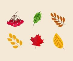 herfstbladeren pictogrammenset vector ontwerp