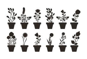 geïsoleerde kamerplanten in potten vector design