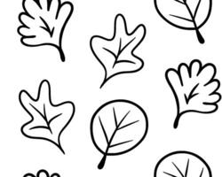 tekening naadloos bladeren patroon. vector zwart en wit achtergrond en textuur.
