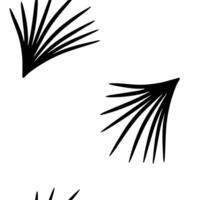 gemakkelijk naadloos tekening zwart patroon met abstract meetkundig bosje vormen. hand- getrokken naadloos achtergrond vector