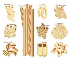 divers types van pasta illustratie reeks vector