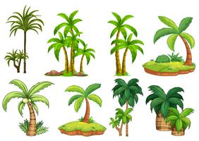 palmbomen vector