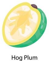 exotisch fruit vlak stickers vector