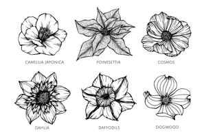 Inzamelingsreeks van de illustratie van de bloemtekening. vector