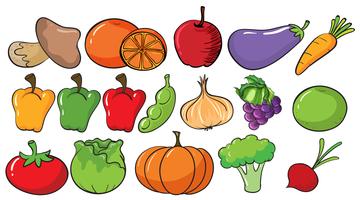 Verschillende soorten fruit en groenten vector