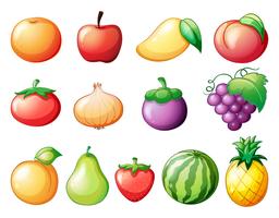 Verschillende soorten fruit vector