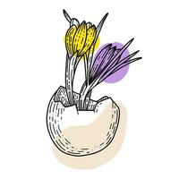 Pasen ei met krokus bloemen, hand- getrokken tekening vector. modieus Pasen ontwerp. vector