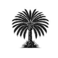 datum palm bomen hand- getrokken vector