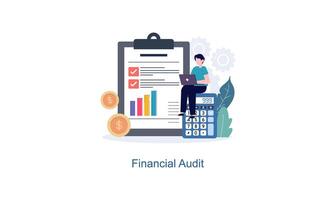 financieel audit of professioneel accounting onderhoud concept vector