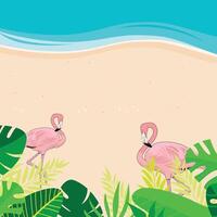 roze flamingo's staand Aan de strand met tropisch bladeren tekenfilm stijl zomer tijd achtergrond vector