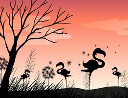 Silhouetscène met flamingo op het gebied vector