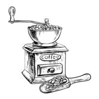 de koffie Slijper maalt koffie bonen. een houten lepel met koffie bonen. vector zwart en wit illustratie illustratie. voor afdrukken, menu's, ansichtkaarten en pakketjes. voor spandoeken, flyers en posters