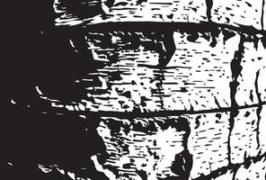 zwart en wit berk schors grunge structuur achtergrond. vector