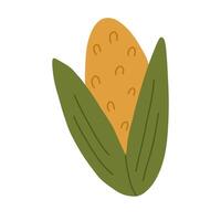 schattig hand- getrokken maïs, tekenfilm vlak vector illustratie geïsoleerd Aan wit achtergrond. gezond groente tekening. concepten van voedsel, oogst, landbouw en culinair.