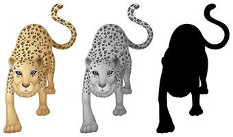 Set van tijger karakter vector