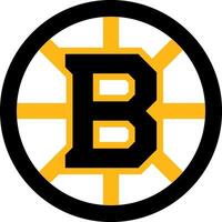 logo van de Boston bruins nationaal hockey liga team vector