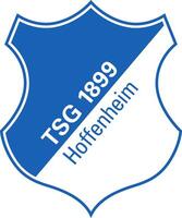 logo van de hoffenheim bundesliga Amerikaans voetbal team vector