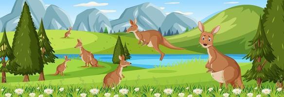 panoramalandschapsscène met vele kangoeroes in het bos vector