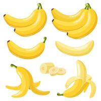 tekenfilm bananen. tropisch geel fruit, geschild banaan en bundel van rijp bananen, vegetarisch vers fruit geïsoleerd vector illustratie pictogrammen reeks