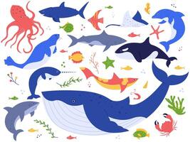 oceaan dieren. schattig vis, orka, haai en blauw walvis, marinier dieren en zee schepsels illustratie vector set. onderzees wereld pak. zeewier, algen en water planten clip art verzameling