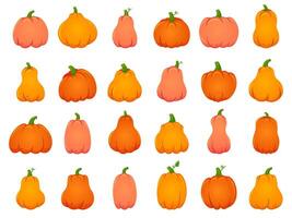 halloween vallen pompoenen. tekenfilm traditioneel decoratie, vakantie oranje pompoen, oktober halloween oogst geïsoleerd vector illustratie pictogrammen reeks
