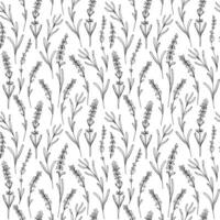 lavendel naadloos patroon. vector hand- getrokken afdrukken voor kleding stof, textiel, achtergrond, achtergronden